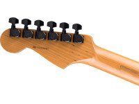 Fender LTD Am Pro II Strat HSS SMK Fender LTD Am Pro II Strat HSS SMK